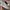 Nike Air Jordan Sportswear Sneakers Pria white gray photo 6