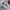 New Balance Indie Casual Sneakers Wanita white pink photo 1