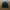 Carhartt Streetwear Y2K Sweatshirt Pria black photo 1