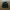 Carhartt Streetwear Y2K Sweatshirt Pria Black
