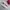 Onitsuka Tiger Indie Casual Sneakers Wanita tan pink photo 1