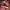 Air Jordan 1 Low Gym Red Size 41