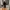 Luxury Lolita Prom dress Wanita black photo 6