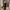 Luxury Lolita Prom dress Wanita black photo 3