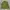 H&M Casual Casual shirt Pria green photo 2