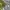H&M Casual Casual shirt Pria green photo 5