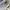 Champion Streetwear Sportswear Hoody Pria gray photo 6