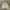 Champion Streetwear Sportswear Hoody Pria gray photo 1