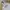 Champion Streetwear Sportswear Hoody Pria gray photo 2