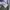 Grunge Goth Shirt Wanita white photo 7