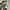 New Balance Sportswear Casual Sneakers Pria silver white photo 5