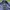 Bally Avant Garde Harrington jacket Pria navy photo 6