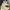 Nike Streetwear Y2K Sneakers Pria tan cream photo 8