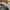 Nike Streetwear Y2K Sneakers Pria tan cream photo 5