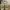 Nike Streetwear Y2K Sneakers Pria tan cream photo 6
