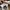 Nike Streetwear Y2K Sneakers Pria tan cream photo 4