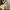 Nike Streetwear Y2K Sneakers Pria tan cream photo 3