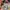 Kansai Yamamoto Streetwear Luxury Casual shirt Pria red orange photo 6