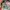 Kansai Yamamoto Streetwear Luxury Casual shirt Pria red orange photo 7