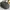 Vintage Luxury Hat Pria gray photo 1