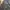 Urban Research Streetwear Casual Casual pants Pria gray photo 8
