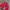 Arc'teryx Streetwear Gorpcore Pea coat Pria red gray photo 7