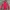 Arc'teryx Streetwear Gorpcore Pea coat Pria red gray photo 1