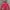 Arc'teryx Streetwear Gorpcore Pea Coat Pria Red Gray