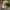 Polo Ralph Lauren Vintage Casual Hat Pria tan photo 3