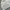 Polo Ralph Lauren Vintage Casual Harrington jacket Pria cream photo 6