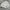 Polo Ralph Lauren Vintage Casual Harrington jacket Pria cream photo 8