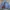 Polo Ralph Lauren Vintage Casual Harrington Jacket Pria Blue