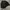 Polo Ralph Lauren Vintage Casual Harrington jacket Pria black photo 3