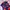Feltics Sportswear Bomber jacket Pria blue photo 5