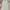 H&M Casual Bodycon dress Wanita gray photo 1