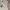 H&M Casual Bodycon dress Wanita gray photo 4