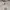 H&M Casual Bodycon dress Wanita gray photo 2