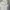 Adidas Sportswear Track jacket Pria gold white photo 1