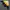 Vintage Casual Windbreaker Pria khaki yellow photo 3