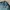Puma Casual Track jacket Pria green photo 4
