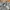 Dickies Indie Hoody Pria gray photo 4