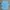 Adidas Sportswear Jersey Pria Blue