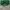 Casual Handbag Wanita green photo 5