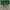Casual Handbag Wanita green photo 1
