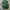 Casual Handbag Wanita green photo 4