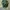 Casual Handbag Wanita green photo 3