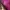 Stussy Luxury Suit Pria Multicolor Pink