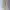 Uniqlo Streetwear Casual Casual pants Pria khaki photo 2