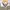 niko and ... Y2K Casual Polo shirt Pria white tan photo 4