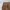 Vintage Casual Casual pants Pria tan photo 3
